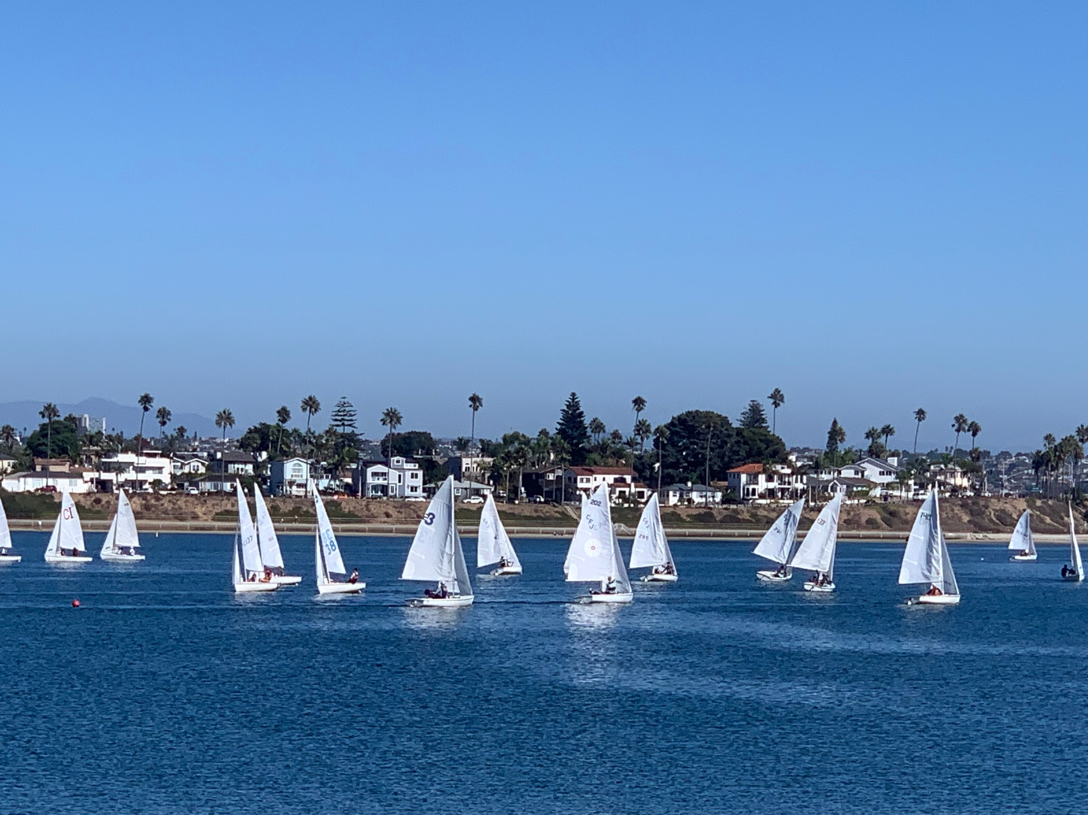 Sailing starts the new year securing 10th at Rose Bowl Regatta